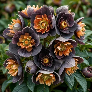 Морозник Блум Айс купить по цене от 499р. в интернет-магазине «Посадика» с доставкой почтой в в Боготоле и по всей России – [изображение №1].