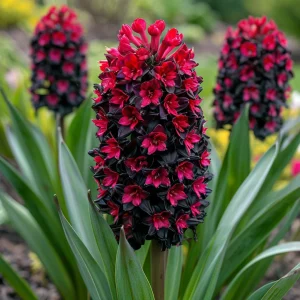 Гиацинт Джем Стоун купить по цене от 2099р. в интернет-магазине «Посадика» с доставкой почтой в в Боготоле и по всей России – [изображение №1].