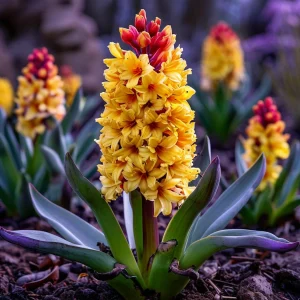 Гиацинт Миднайт Мистери купить по цене от 2099р. в интернет-магазине «Посадика» с доставкой почтой в в Боготоле и по всей России – [изображение №1].